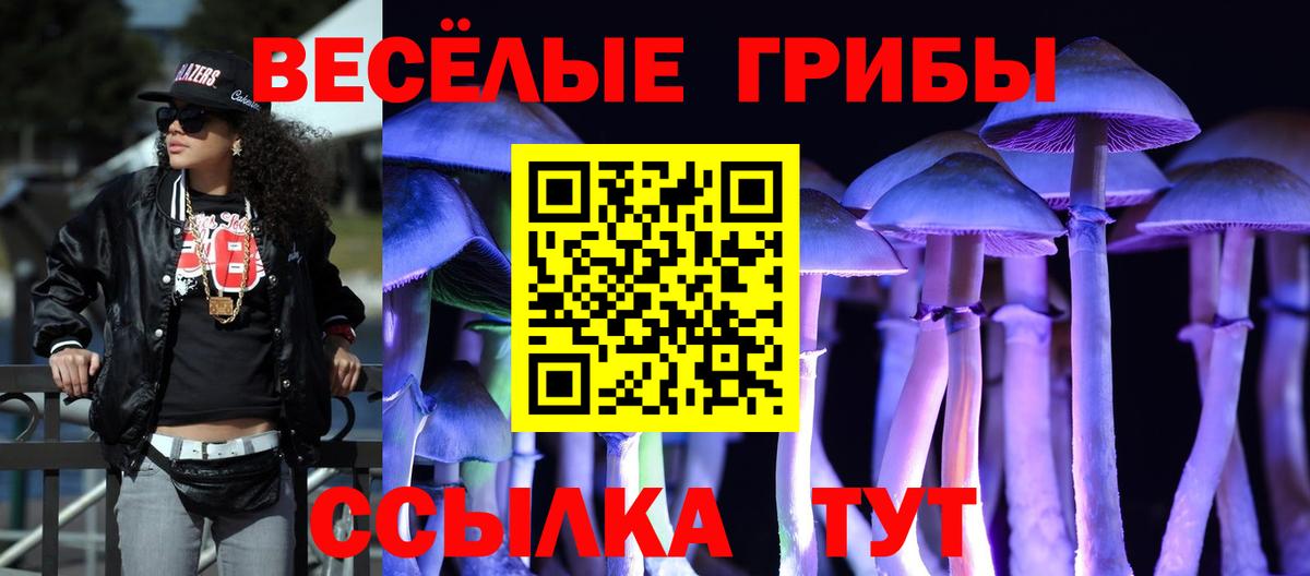 Галлюциногенные грибы Psilocybe  Вход с VPN  Псилоцибиновые грибы мухоморы  Фрязино 