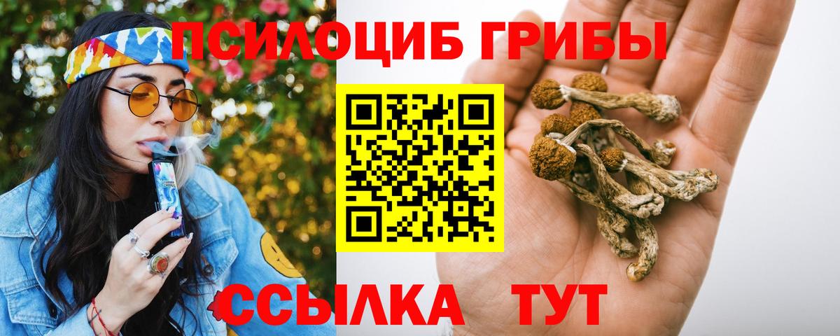 Галлюциногенные грибы Magic Shrooms Фрязино